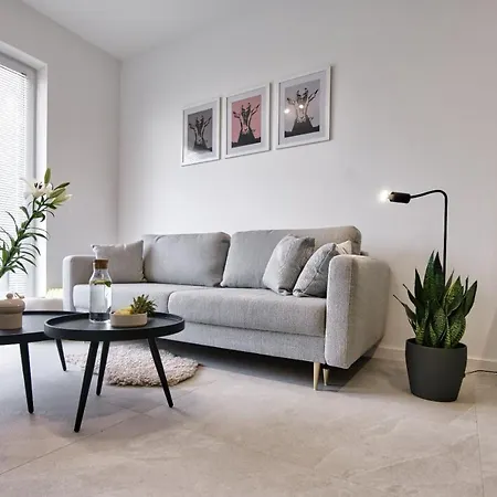 Apartment Black Goat 81 *
