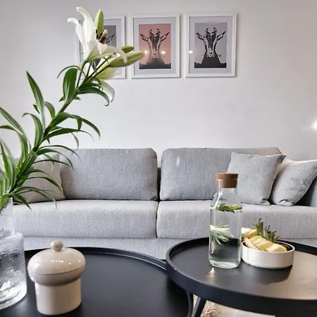 Black Goat 81 Apartment Zator