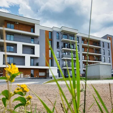 Black Goat 81 Daire *